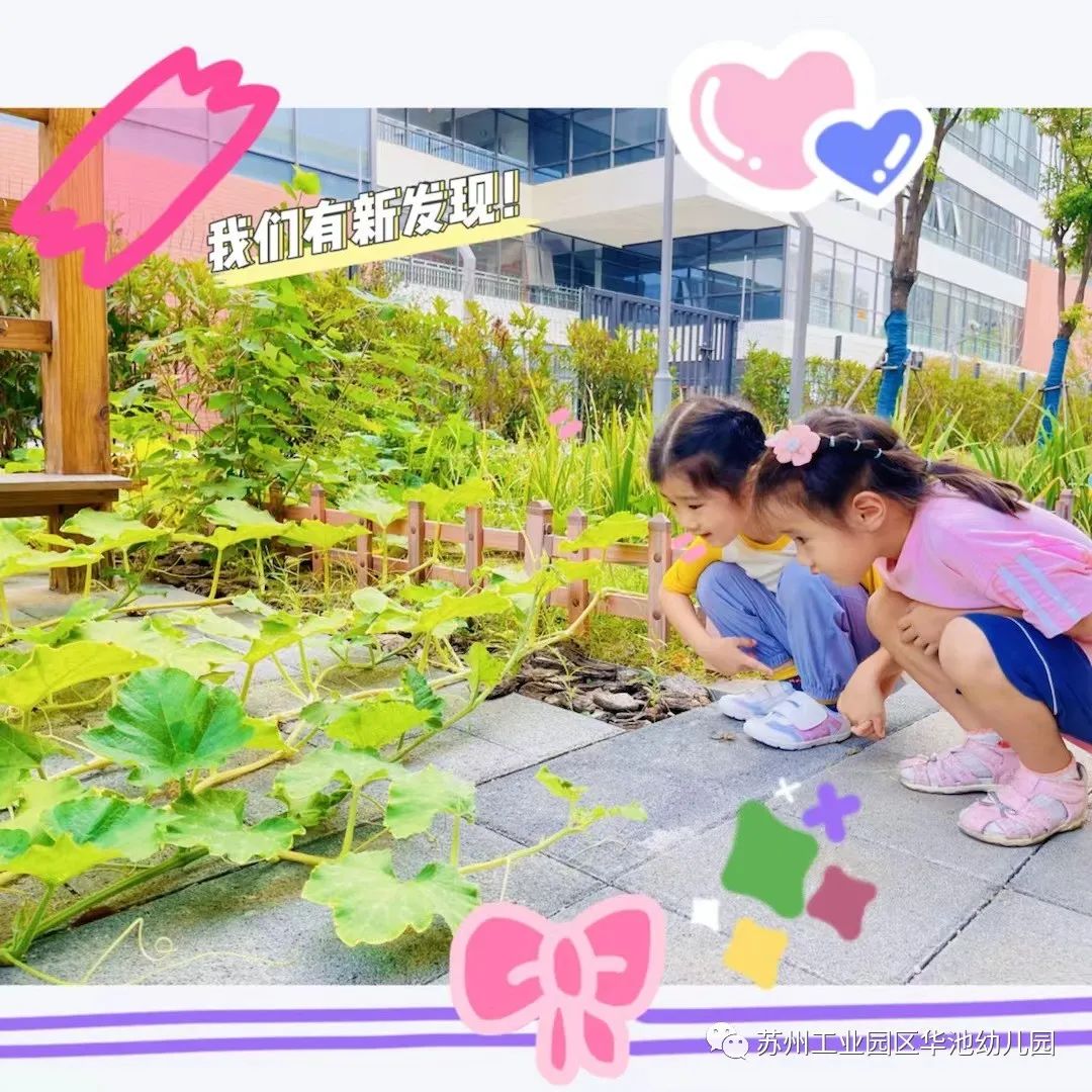 å¾ç